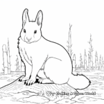 Albino Squirrel Color by Number Pages 3