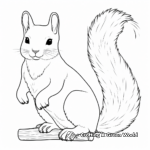 Albino Squirrel Color by Number Pages 4