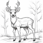 Alpine Elk Coloring Pages 2