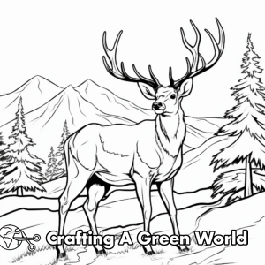 Elk Coloring Pages - Free &amp; Printable!