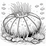 Amazing Sea Life Coloring Pages Featuring the Sea Urchin 4
