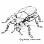 Amazing Stag Beetle Coloring Pages 4