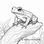 Amazon Rainforest Tree Frog Coloring Pages 3