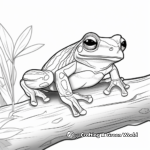 Amazon Rainforest Tree Frog Coloring Pages 4