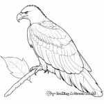 American Bald Eagle Feather Coloring Pages 3