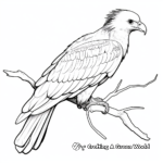 American Bald Eagle Feather Coloring Pages 4