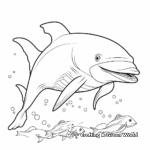 An Array of Various Dolphin Species Coloring Pages 2