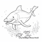 An Array of Various Dolphin Species Coloring Pages 3