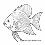 Angelfish Species Identification Coloring Pages 3
