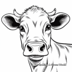 Angus Cow Face Coloring Pages 1