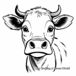 Angus Cow Face Coloring Pages 2