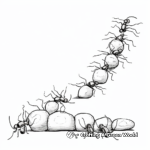 Ant Life Cycle Coloring Pages: Egg, Larva, Pupa, and Adult 4
