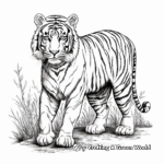 Antique Looking Vintage Tiger Illustration Coloring Pages 1