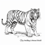 Antique Looking Vintage Tiger Illustration Coloring Pages 4
