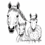 Appaloosa Horse Family Coloring Pages: Male, Female, and Foal 1