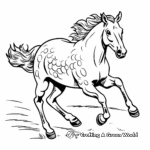 Appaloosa Horse Racing Action Coloring Pages 1