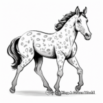 Appaloosa Horse Show Coloring Pages 1