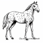 Appaloosa Horse Show Coloring Pages 2