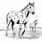 Appaloosa Horses in Nature Coloring Pages 4