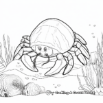 Aquarium Hermit Crab Coloring Pages 1