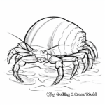 Aquarium Hermit Crab Coloring Pages 3