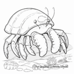 Aquarium Hermit Crab Coloring Pages 4