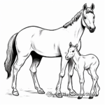 Arabian Foal Coloring Pages for Kids 1