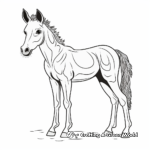 Arabian Foal Coloring Pages for Kids 2