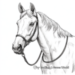 Arabian Horse in Action Coloring Pages 3