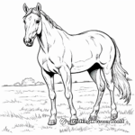 Arabian Horse in Pasture Coloring Pages 1