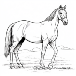 Arabian Horse in Pasture Coloring Pages 3