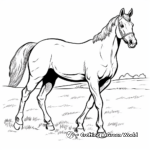 Arabian Horse in Pasture Coloring Pages 4