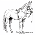 Arabian Horse with Traditional Tack Coloring Pages 1