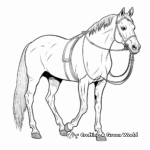 Arabian Horse with Traditional Tack Coloring Pages 2