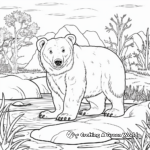 Arctic Zone Polar Bear Zoo Coloring Pages 2