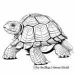 Artistic Abstract Tortoise Coloring Pages 1
