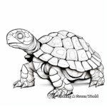 Artistic Abstract Tortoise Coloring Pages 2