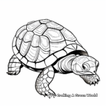 Artistic Abstract Tortoise Coloring Pages 4