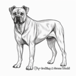 Artistic Detailed Cane Corso Coloring Pages for Adults 2