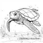 Artistic Kemp's Ridley Sea Turtle Coloring Pages 1