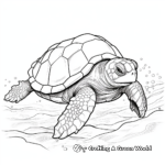 Artistic Kemp's Ridley Sea Turtle Coloring Pages 3