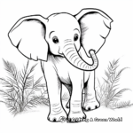 Asian Baby Elephant in the Jungle Coloring Pages 4
