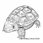 Asian Box Turtle Shell Coloring Pages: East Meets West 1