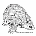 Asian Box Turtle Shell Coloring Pages: East Meets West 2