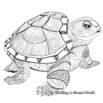 Asian Box Turtle Shell Coloring Pages: East Meets West 4
