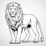 Asiatic Lion Coloring Pages for Learners 1