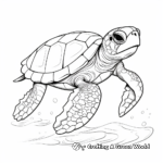 Attractive Sea Turtle Coloring Pages 1