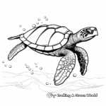 Attractive Sea Turtle Coloring Pages 2