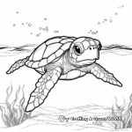 Attractive Sea Turtle Coloring Pages 3