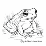 Australia's Iconic Green Tree Frog Coloring Sheets 3